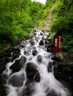 熊出没百层大冒险